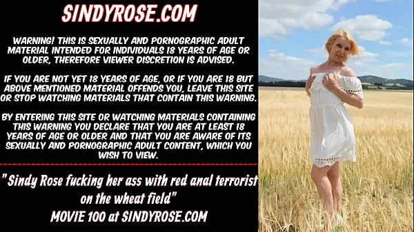 شاهد Sindy Rose fucking her ass with red anal terrorist on the wheat field أفلام القوة